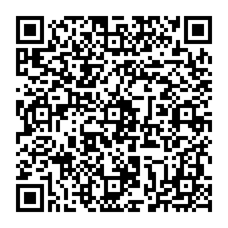 vCard 79234533905