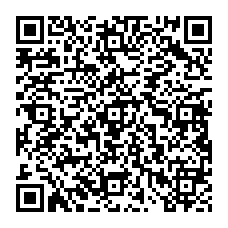 vCard 79234533907