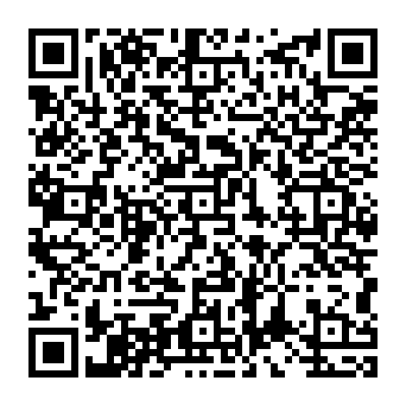 vCard 79234533968