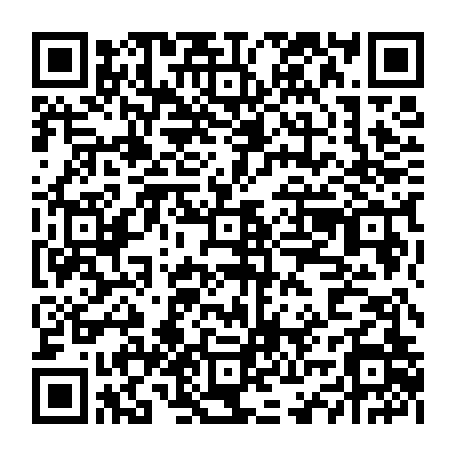 vCard 79234533971