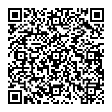 vCard 79234533981
