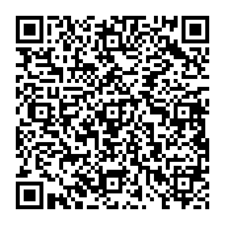 vCard 79234534113