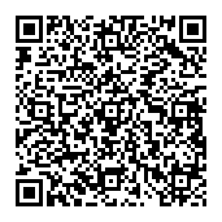 vCard 79234535333