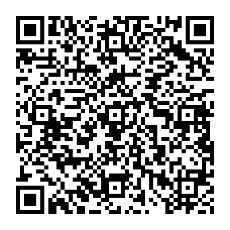 vCard 79234535411