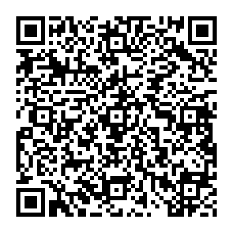 vCard 79234535551