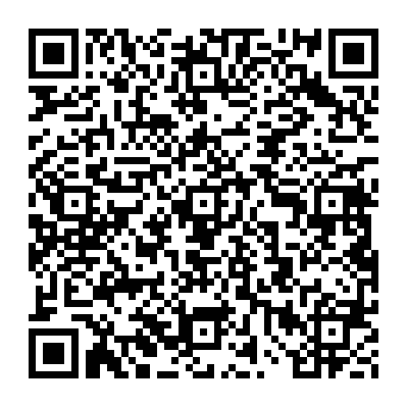 vCard 79234536117