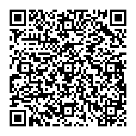 vCard 79234536217