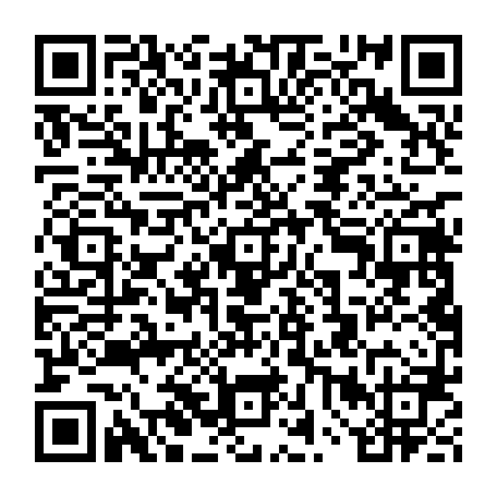 vCard 79234538017
