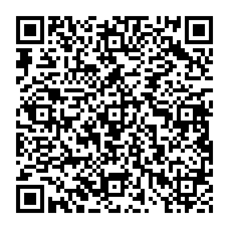 vCard 79234538029