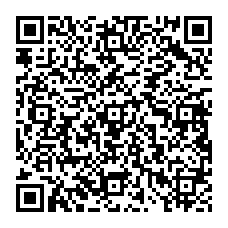 vCard 79234538173