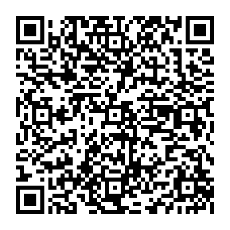 vCard 79234538206
