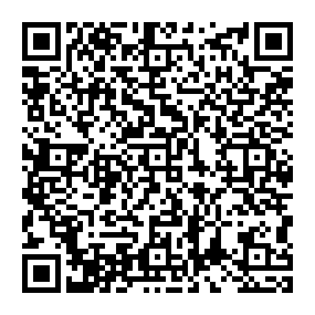 vCard 79234538237