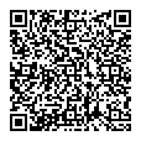 vCard 79234538387