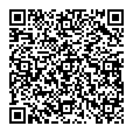 vCard 79234538538