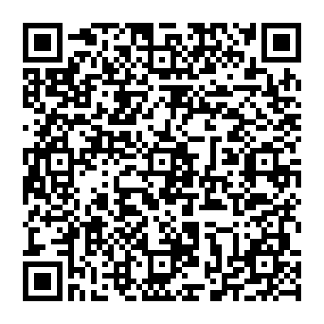 vCard 79234539711