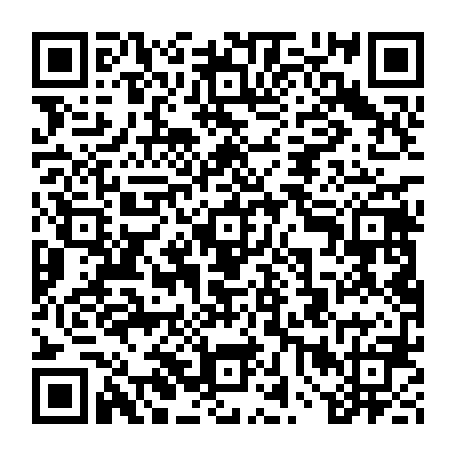 vCard 79234540003