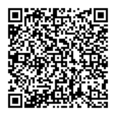 vCard 79234540387