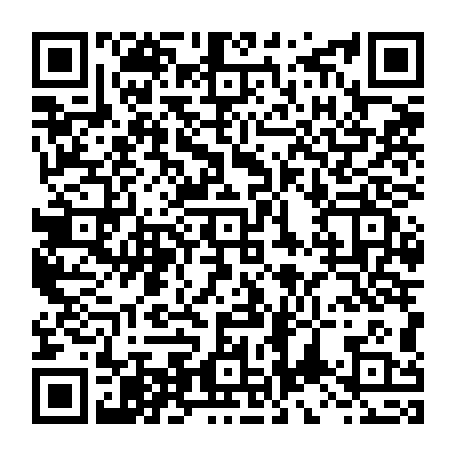 vCard 79234541017