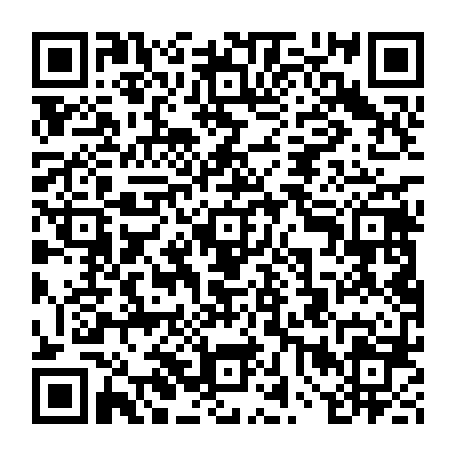 vCard 79234541333