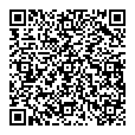 vCard 79234541334