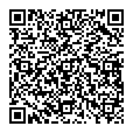 vCard 79234541376