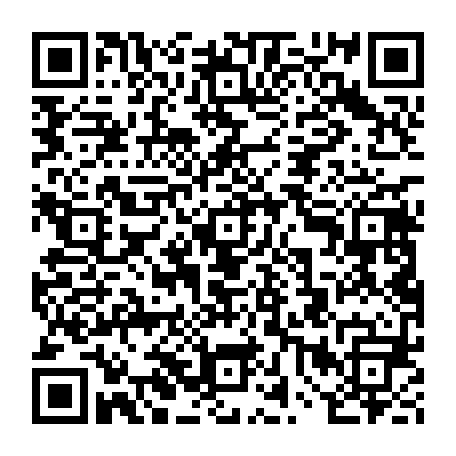 vCard 79234541584