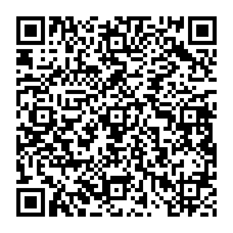 vCard 79234542001