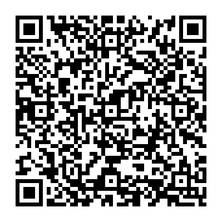 vCard 79234543219