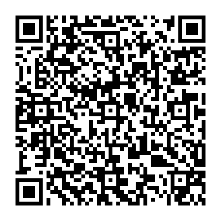 vCard 79234543313