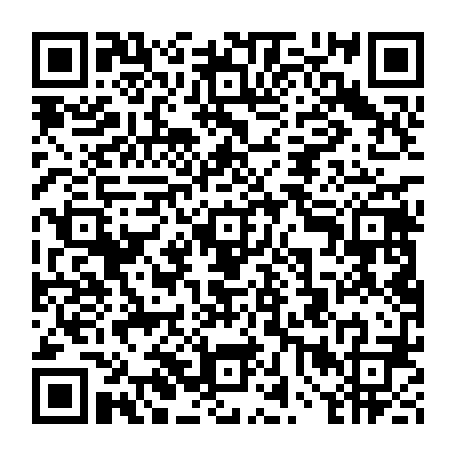 vCard 79234543389
