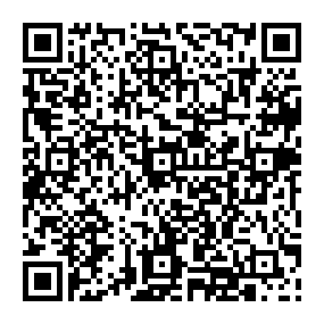vCard 79235411113