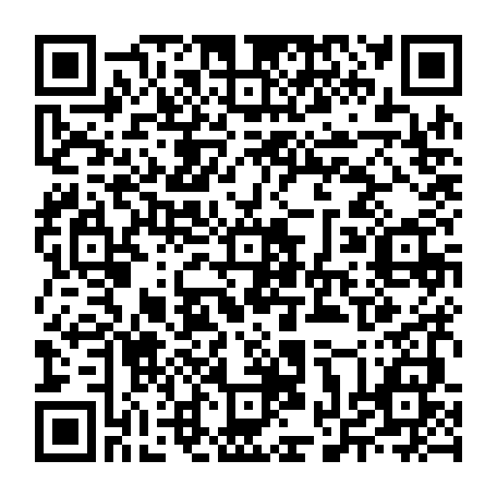 vCard 79235752317