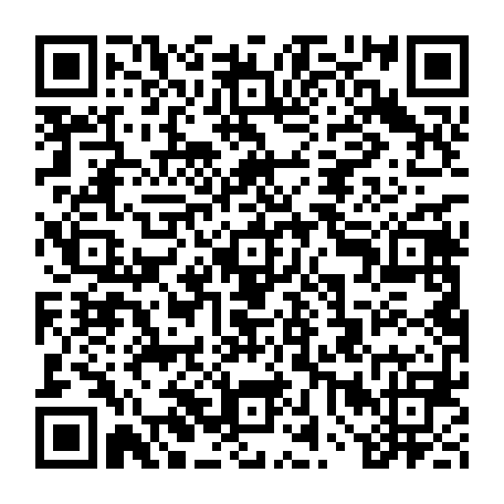 vCard 79235753003