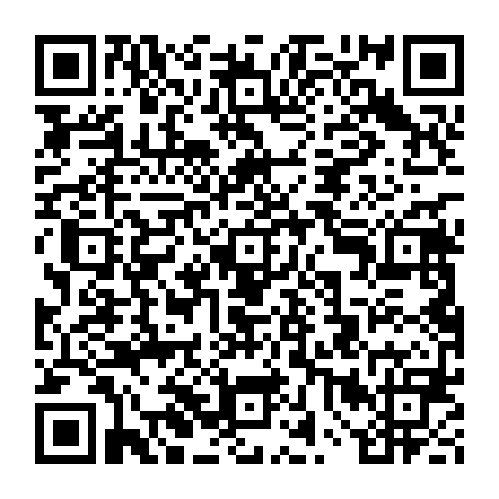 vCard 79235753017