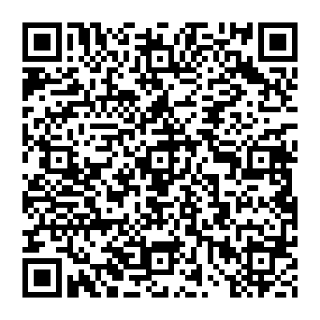 vCard 79235773263