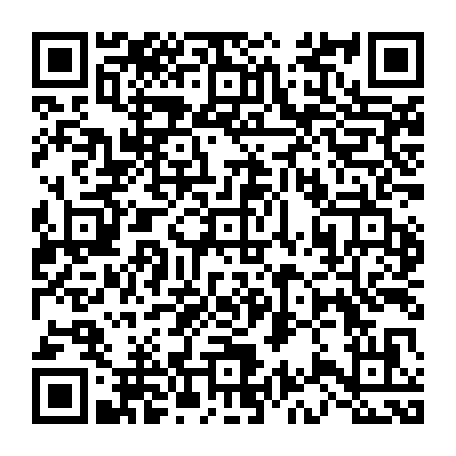 vCard 79235868173