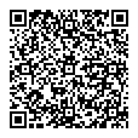 vCard 79236080303