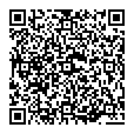 vCard 79236087017