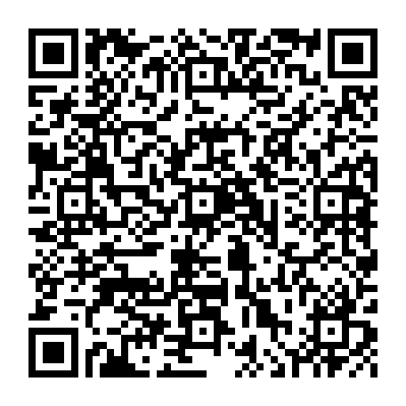 vCard 79236104100