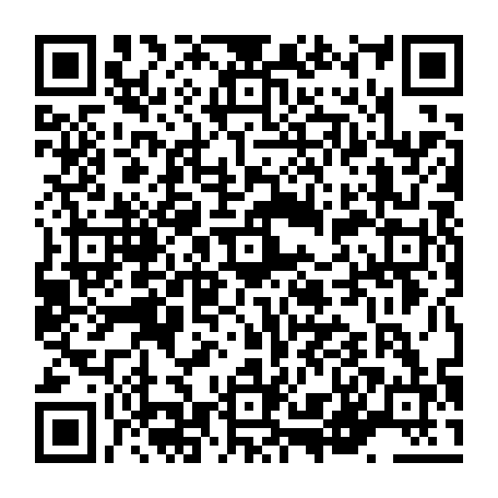 vCard 79236140386