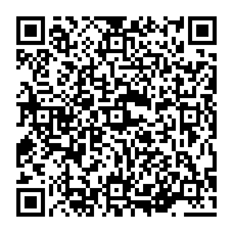 vCard 79236163379