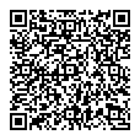 vCard 79236163389