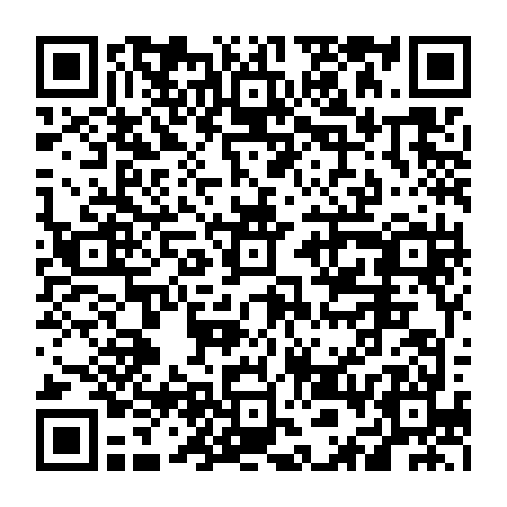 vCard 79236163529