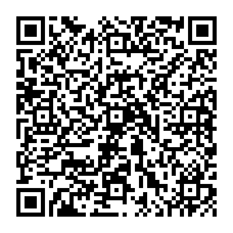 vCard 79236163867