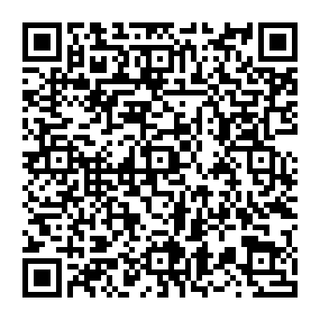 vCard 79236163903