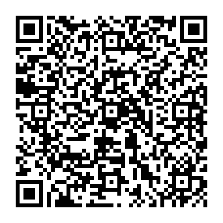 vCard 79236165381