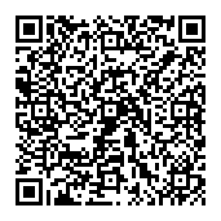 vCard 79236166447