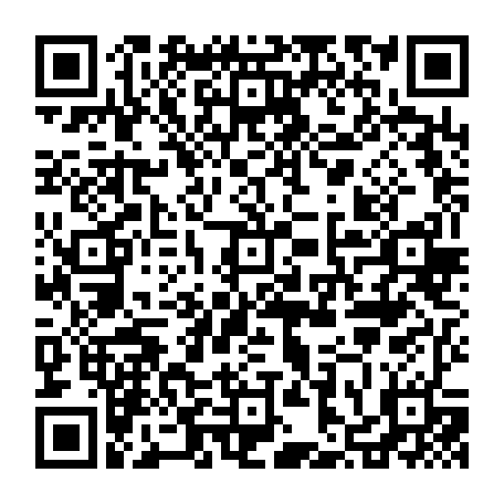 vCard 79236180009