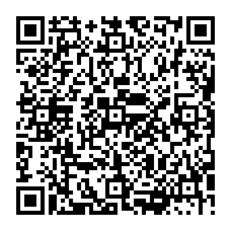 vCard 79236203617