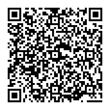 vCard 79236220287